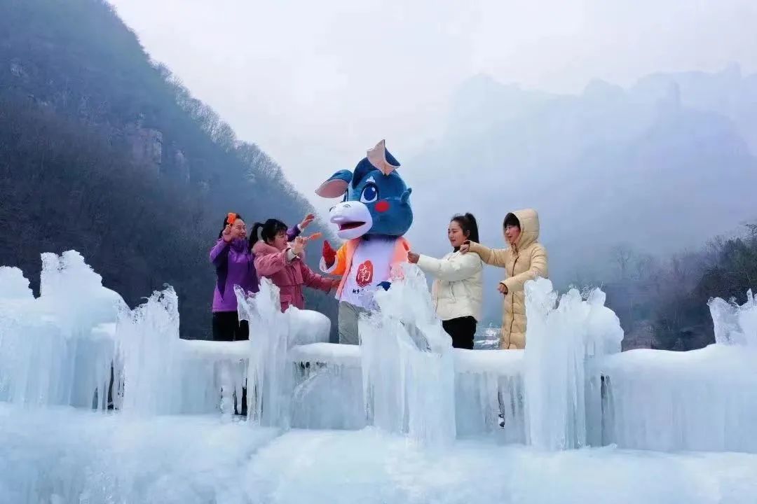 ͼƬ
