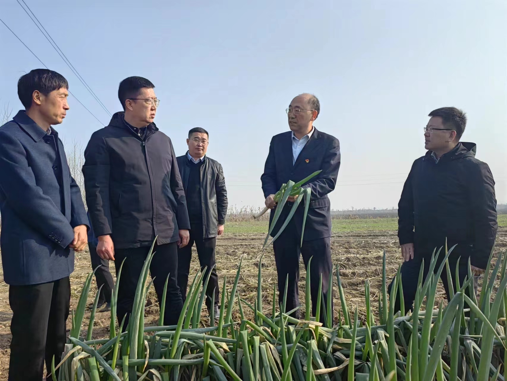 政企合力助菜农丰产又丰收 青岛市农业农村局、青岛市乡村振兴局携手金融机构开展“爱心助农 促销增收”活动