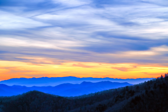 E1177CD049E9DD965E84D70DA11559F7DD14635F_size268_w553_h369.png