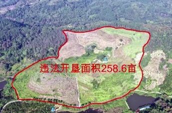 典型案例丨海南热带雨林国家公园内生态环境问题突出