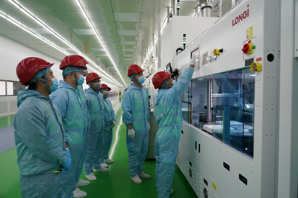 (图片由隆基提供)