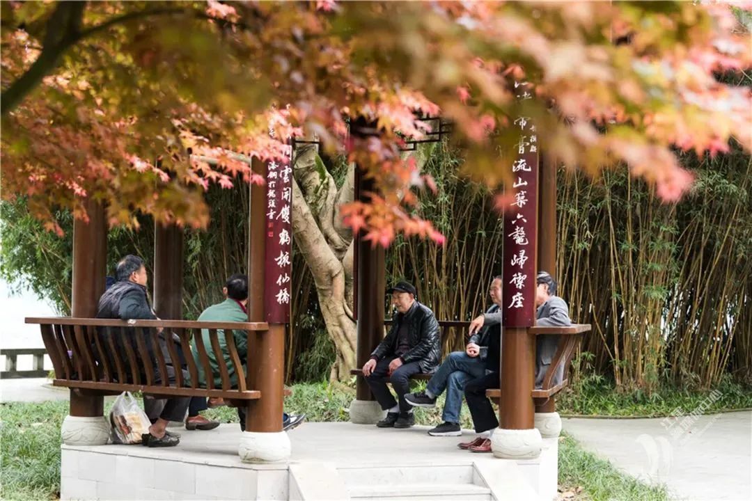 楹联氛围浓厚。图为江津区滨江路凉亭上的楹联