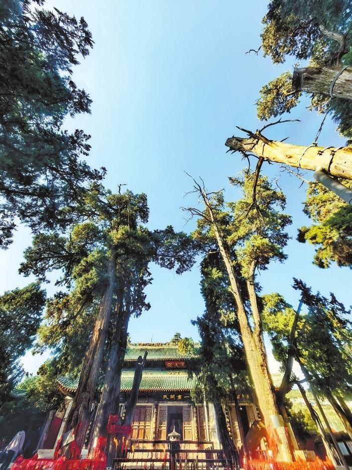 古柏掩映下的天水伏羲庙　裴强