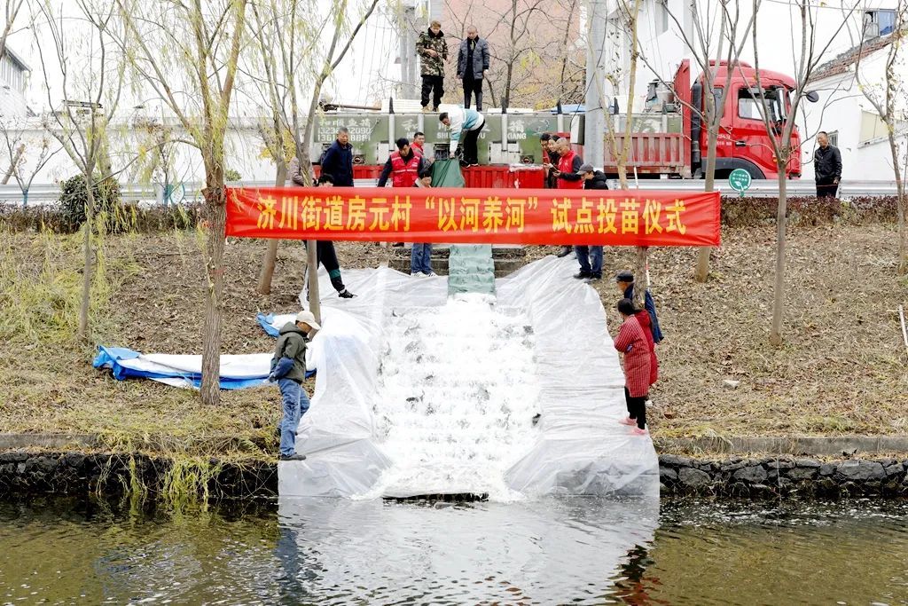 江苏泰州:“以河养河”,让河道活起来