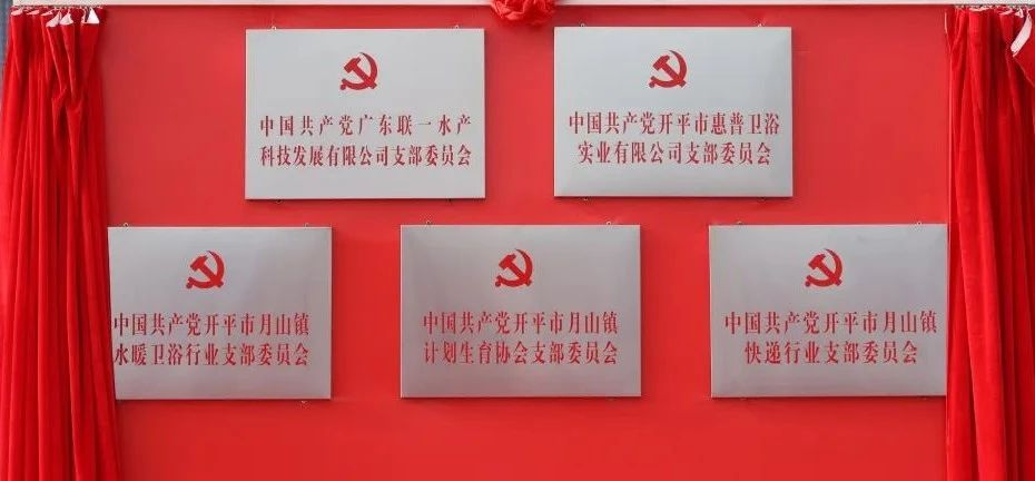 11月16日，五个“三新”党支部举办揭牌仪式