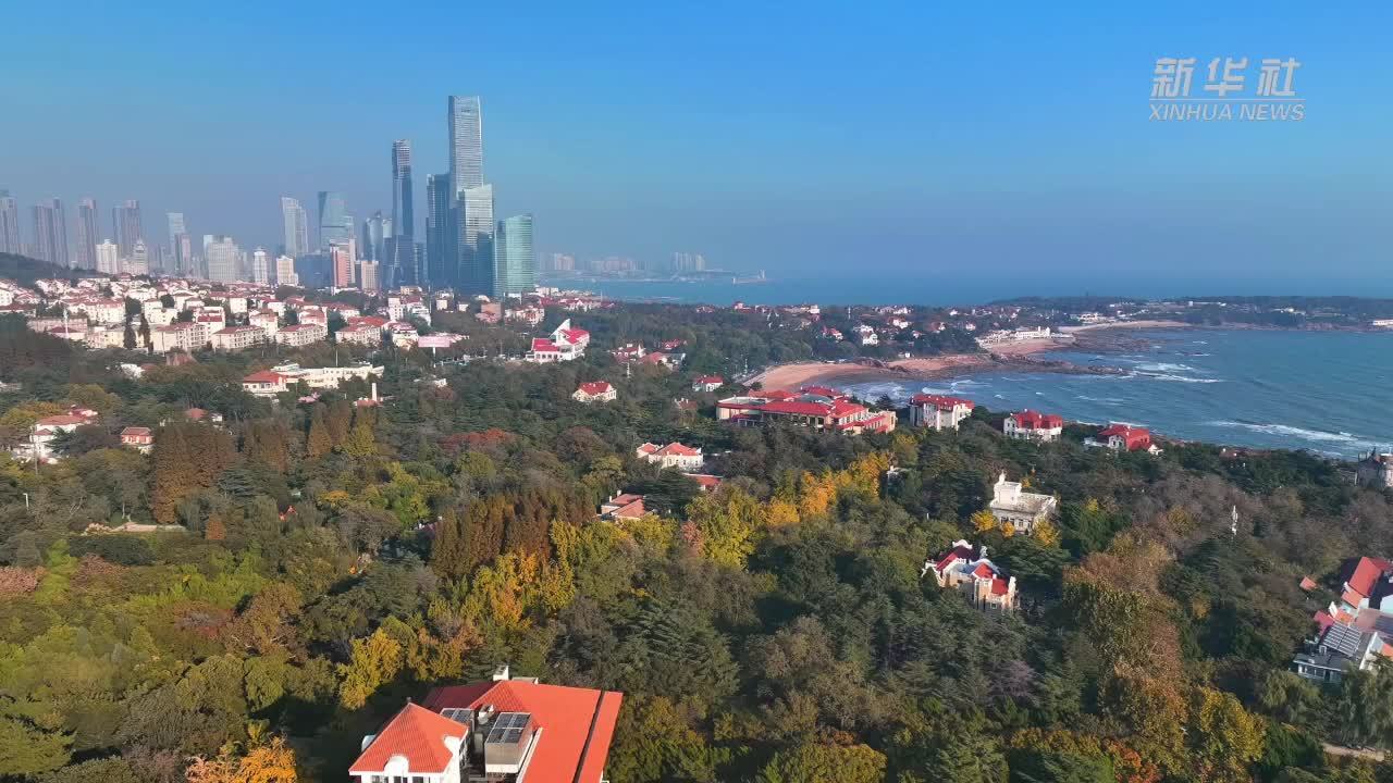 青岛八大关：落叶景观宛如美丽画卷