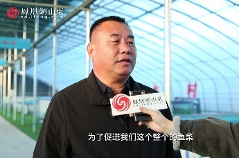 孙荣军：杨柳雪镇“鱼菜菌”共生项目护航养殖全周期