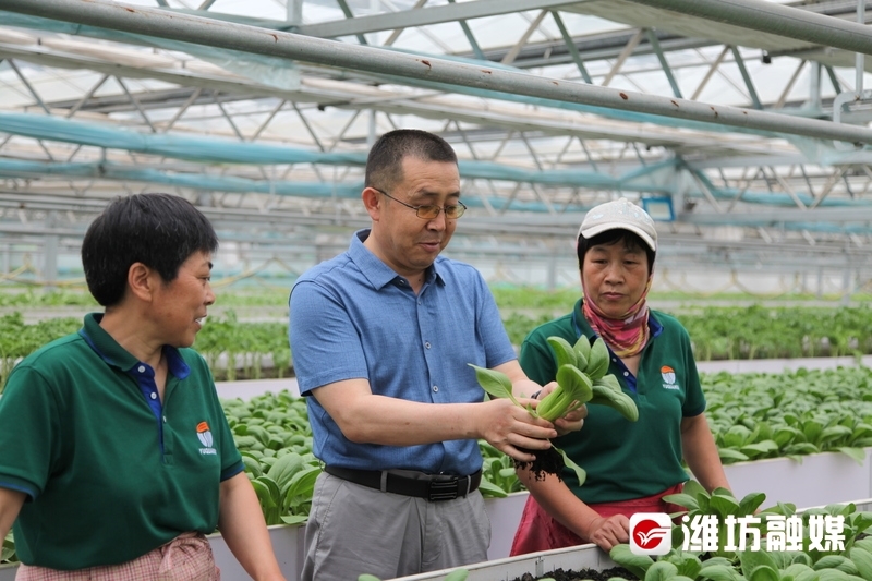 刘向东（中）向工人讲解蔬菜管理方法。（资料图）