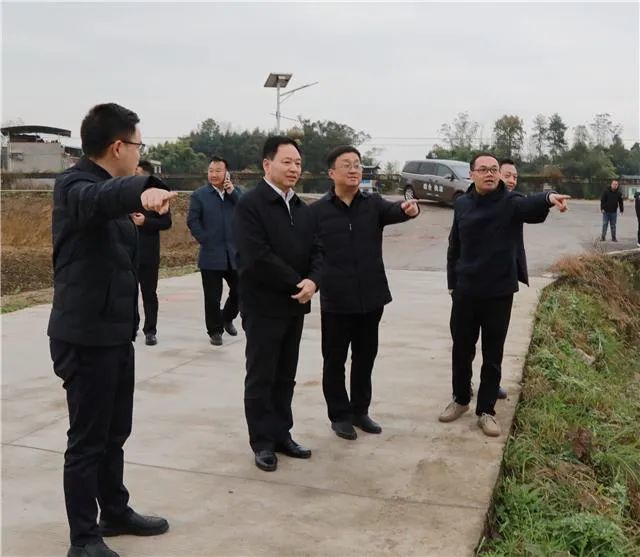 委书记钱建超:以农村集体经济的持续壮大激发乡村振兴活力凤凰网重庆