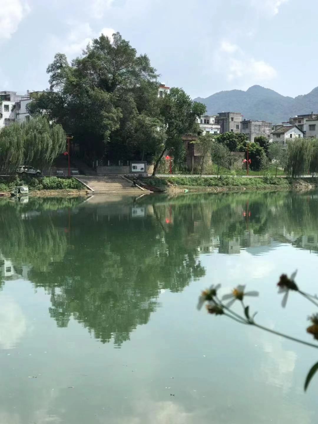 粤 剧 声 声 绕 青 莲 ——评李志良先生长篇小说《青莲》