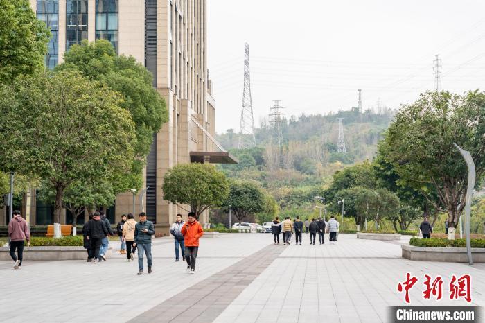 图为互联网园二期企业员工午间悠闲漫步。　张霁雯 摄