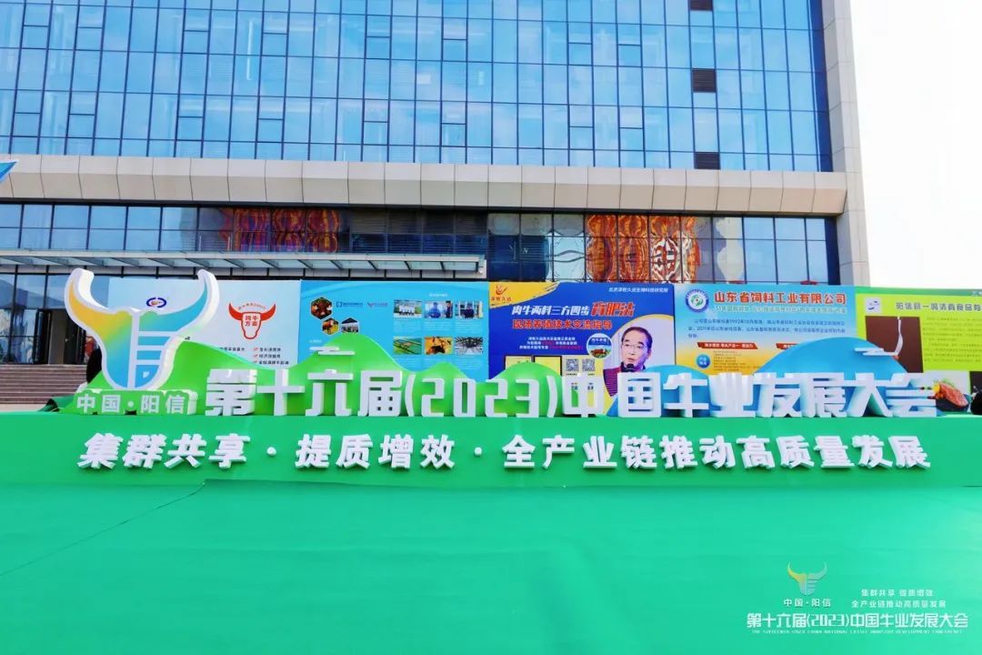 “数字乡村·品质滨州答卷”系列报道丨阳信县：扬起“数字”风帆，激活乡村振兴“一池春水”