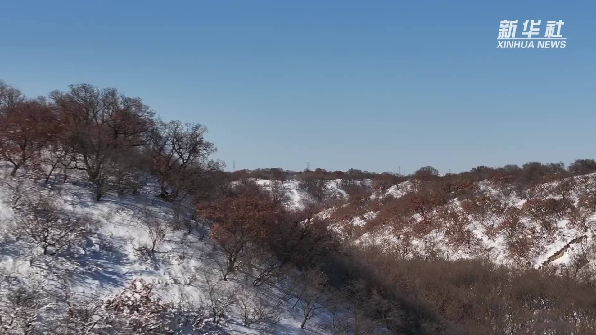 科尔沁左翼后旗景点图片