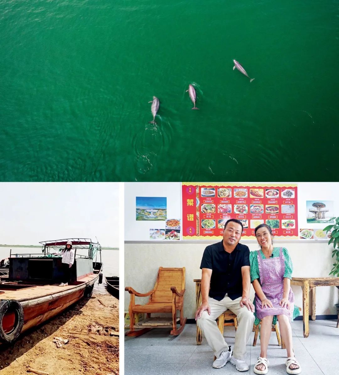 上图：2021年5月11日，湖北宜昌市，水中嬉戏的长江江豚。图/新华 下左图：2020年3月20日，江西九江市永修县，吴城镇退捕渔民何桂花与自家渔船合影留念。（资料图片） 下右图：2023年7月16日，何桂花和丈夫徐礼渊在自家开的餐馆里。2021年长江流域重点水域禁捕后，何桂花和丈夫在镇上开了一家餐馆。图/新华