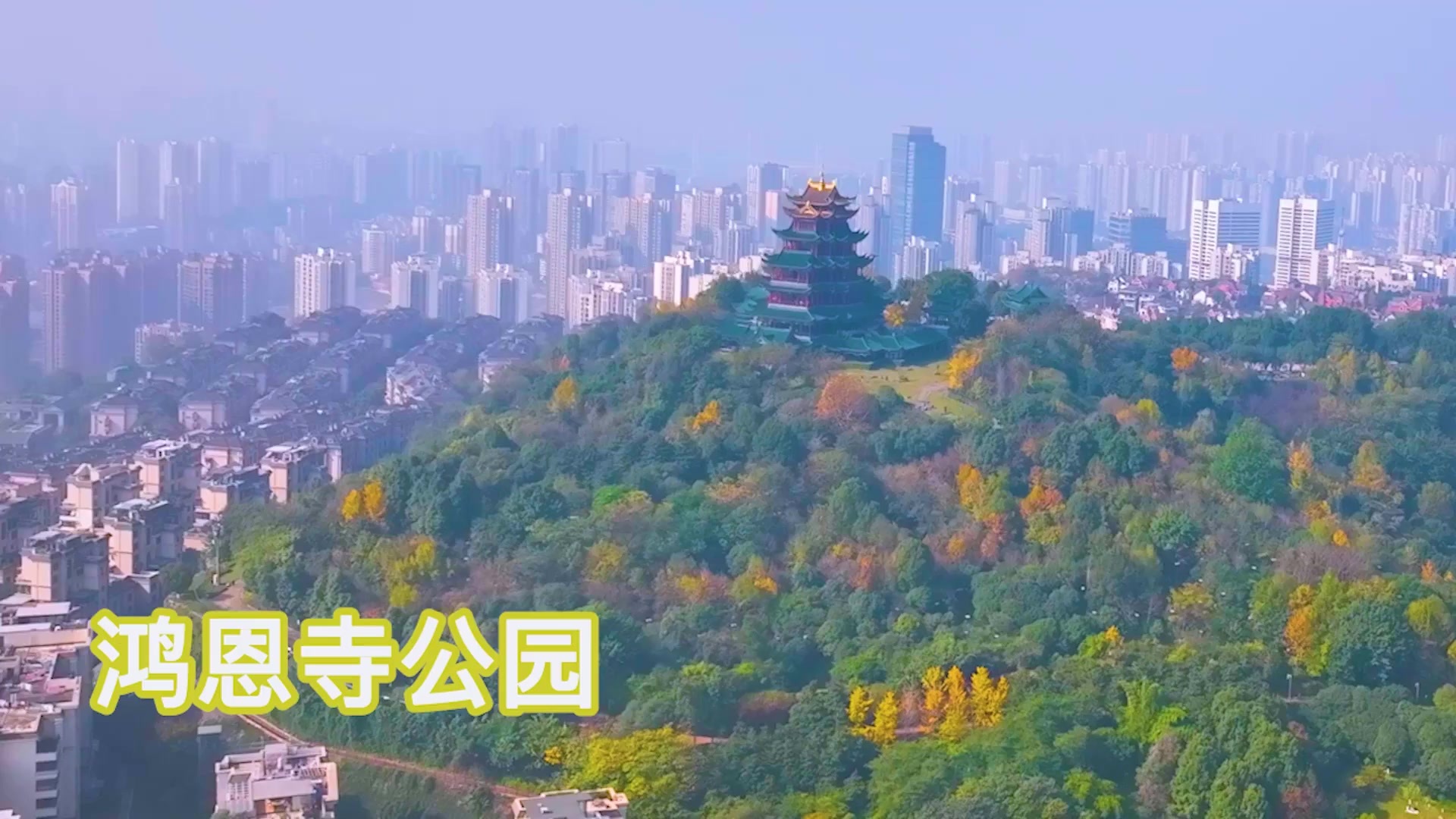 色彩斑斓！冬日的重庆公园“打翻了调色盘”