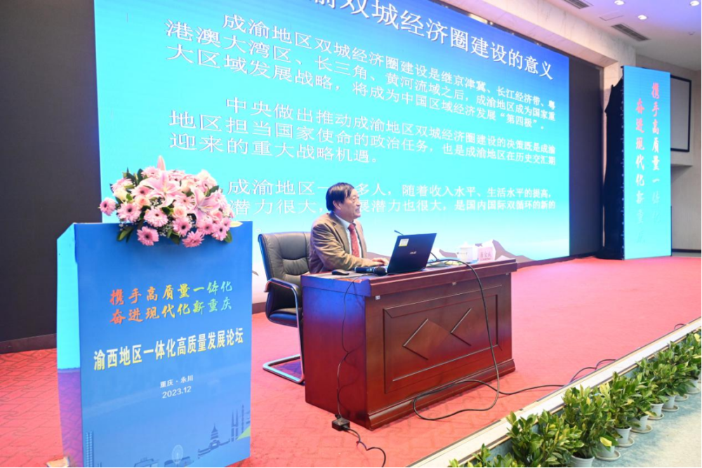 肖金成作主旨报告。