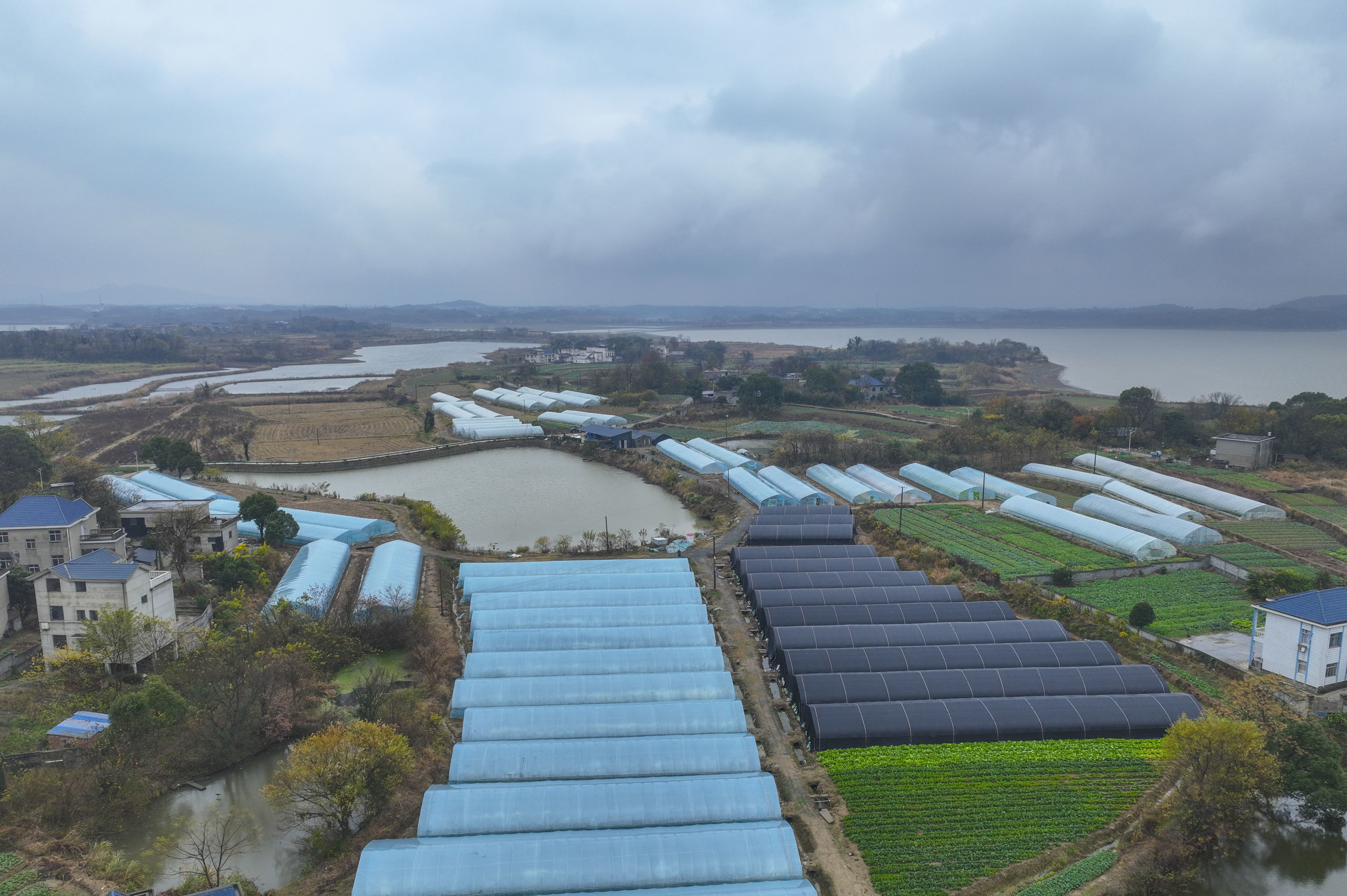 九江市湖口县团墩村蔬菜产业基地