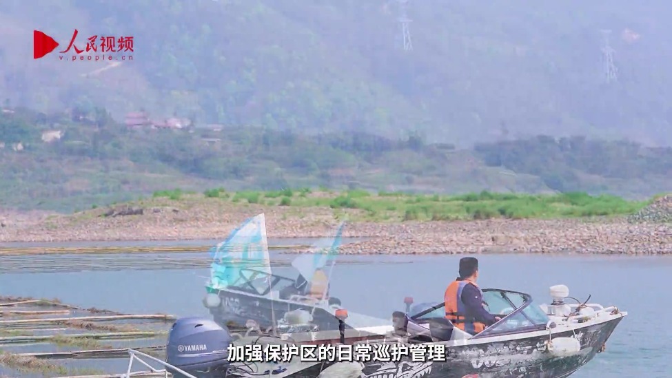十年禁渔看长江｜科普宣教共护母亲河