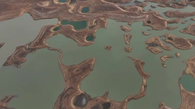 鄱阳湖日渐干旱，江豚生存面临危机，一场拯救江豚的大迁徙就此展开……
