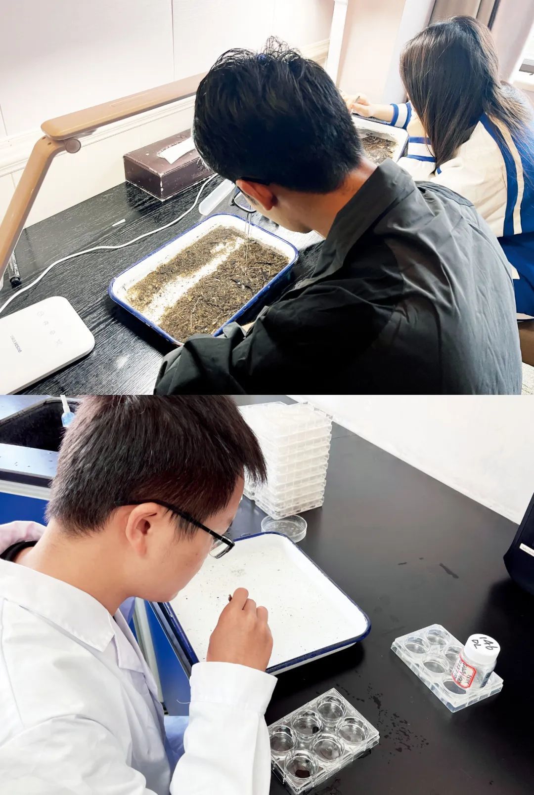 上图：采样完工后，监测人员要对当天采集的底栖动物样品进行挑选。 下图：2023年10月下旬，2023年度水生态考核试点监测秋季采样工作结束。样品被运回到实验室，检测人员通过显微镜，对样品进行鉴定和统计。本版摄影/本刊记者 杨智杰