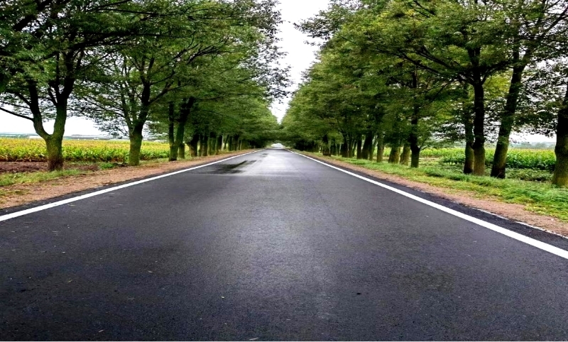 策底至马峡公路峡滩段“白”改“黑”