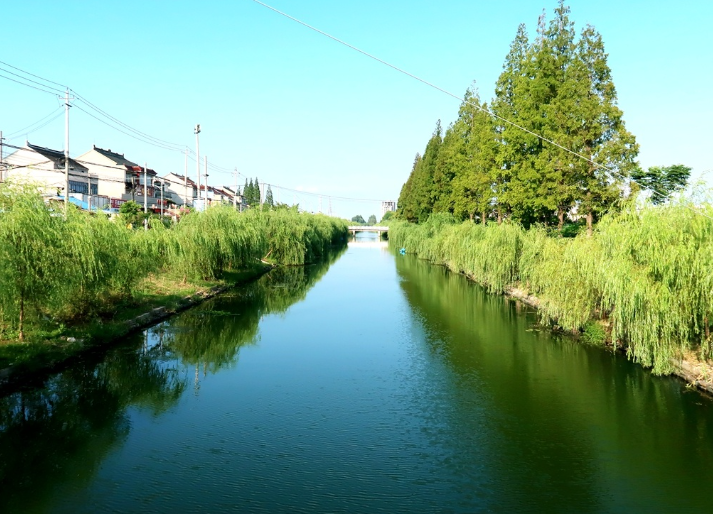 江苏泰州:“以河养河”,让河道活起来