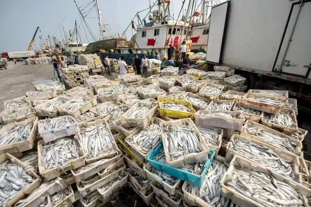 江苏南通：启东吕四港镇合奏“向海”最强音
