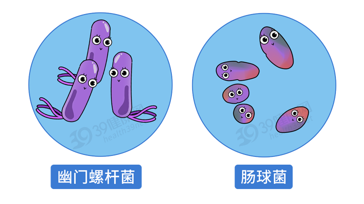 此外,阿莫西林亦可用於腸球菌所致的輕中度感染.