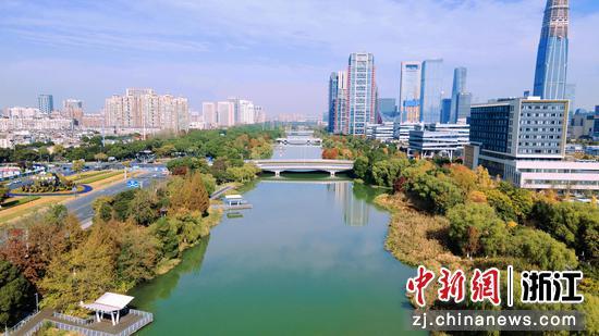 甬新河沿岸。陈飒 供图