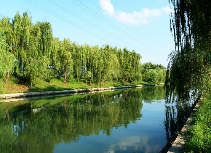 江苏泰州:“以河养河”,让河道活起来