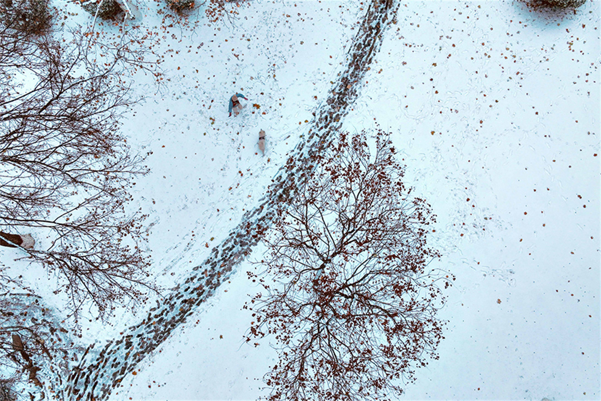 在聊城公园，一位市民与宠物狗在雪地上玩耍。张振祥 摄