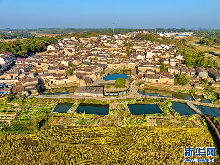 江西金溪旅游古镇图片