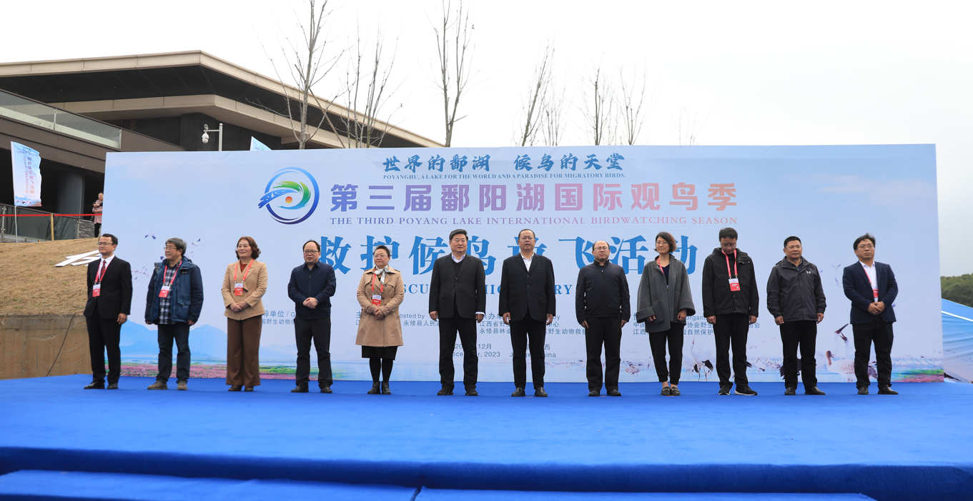 第三届鄱阳湖国际观鸟季救护候鸟放飞活动现场（谭兴浩 摄）