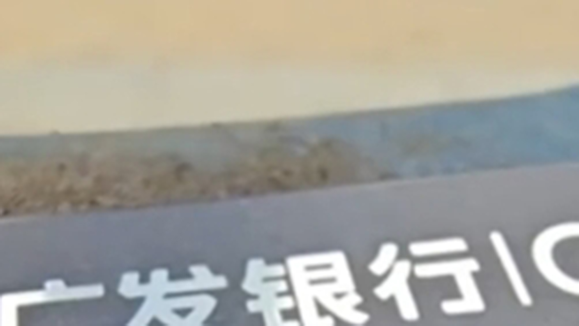 造假