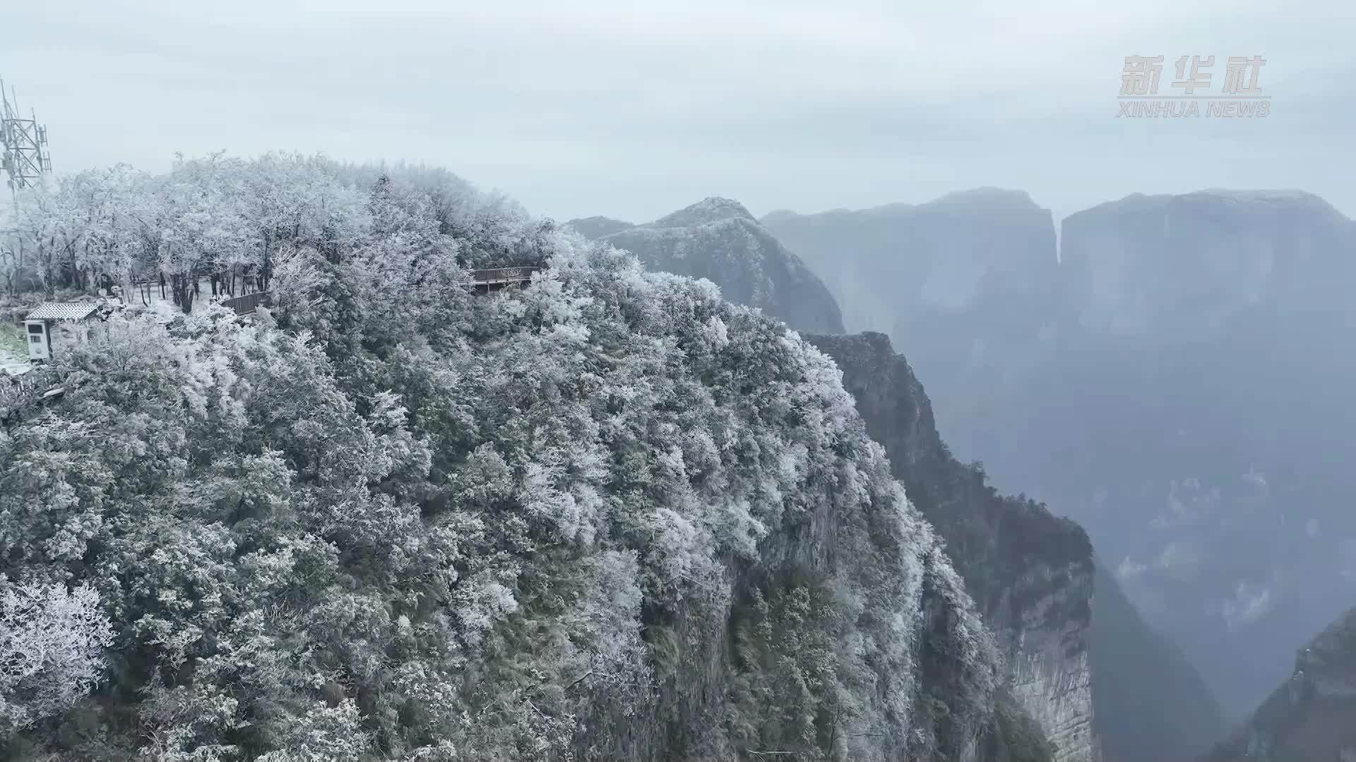 湖南张家界：寒潮来袭现雾凇美景 景区多举措保障安全