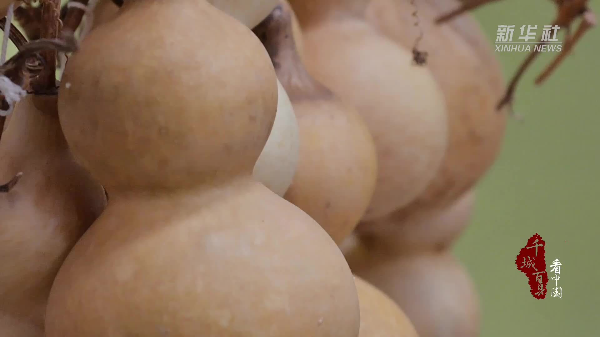 千城百县看中国｜河北卢龙：葫芦烙画进校园 非遗文化代代传