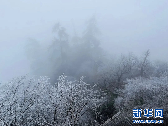 崆峒山雾凇景观宛若童话世界　新华网发（雷朝阳　摄）