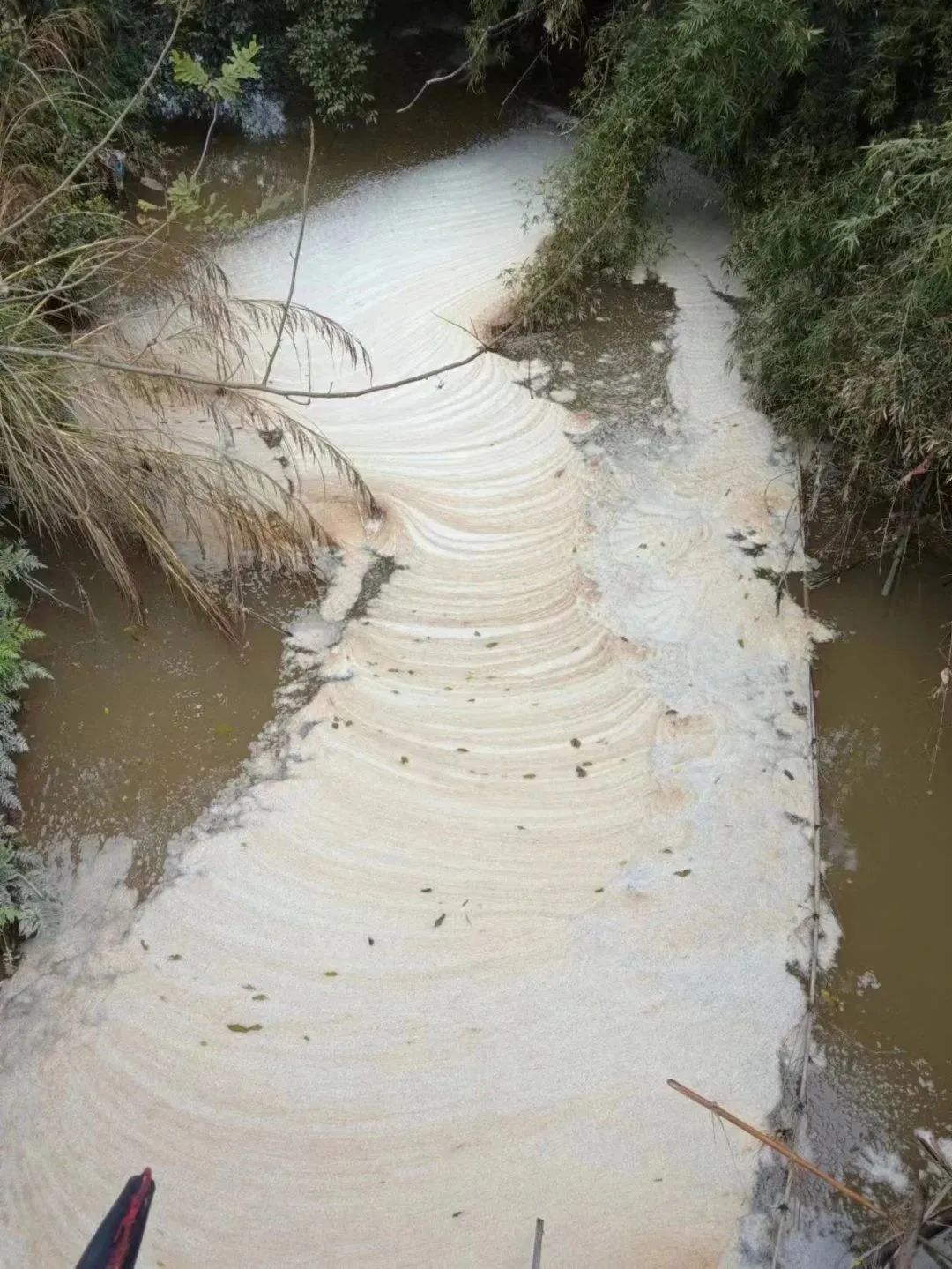 龙南全味鲜食品有限公司排放污水污染河流 河面满是白色泡沫