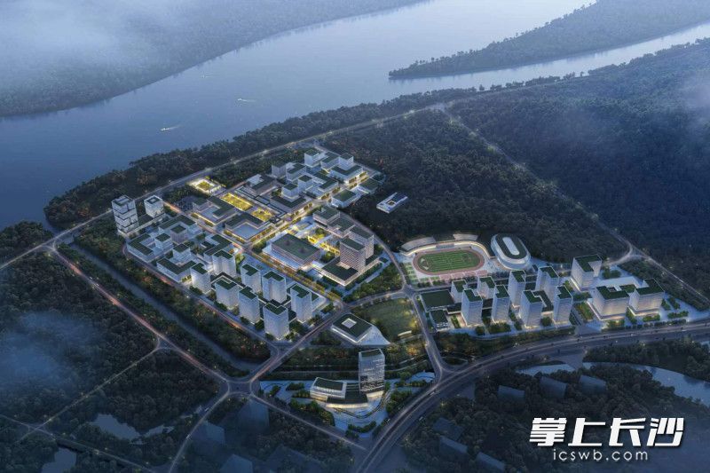 湖南大学科创港鸟瞰图。