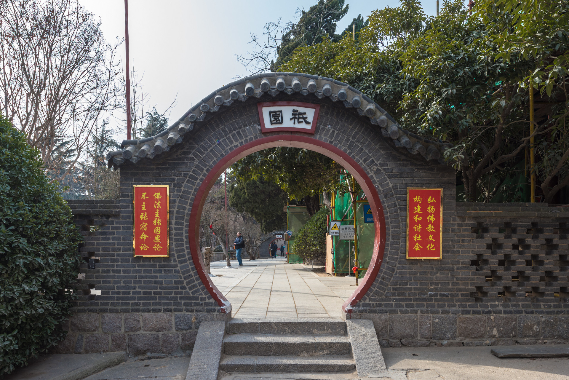 青岛法海寺观赏银杏正当时 千年古刹焕发金色魅力