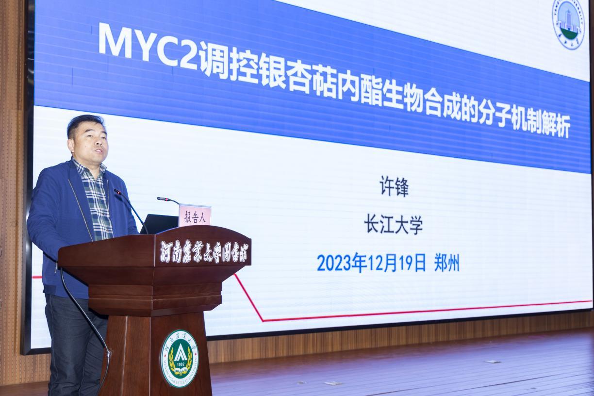 许锋作特邀报告