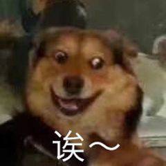 微信突然更新，新功能太炸了 - 吾爱微网