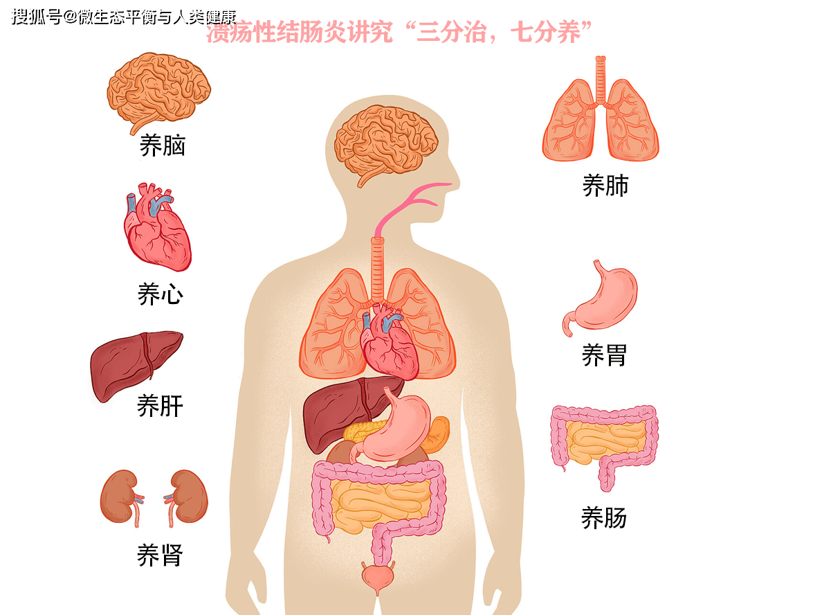 肠炎的位置图片图片