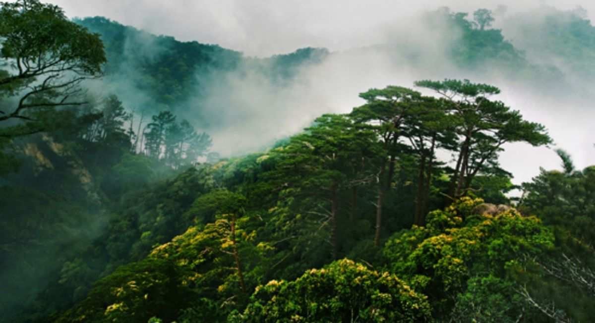 昌江棋子湾，就是你寻找的诗和远方