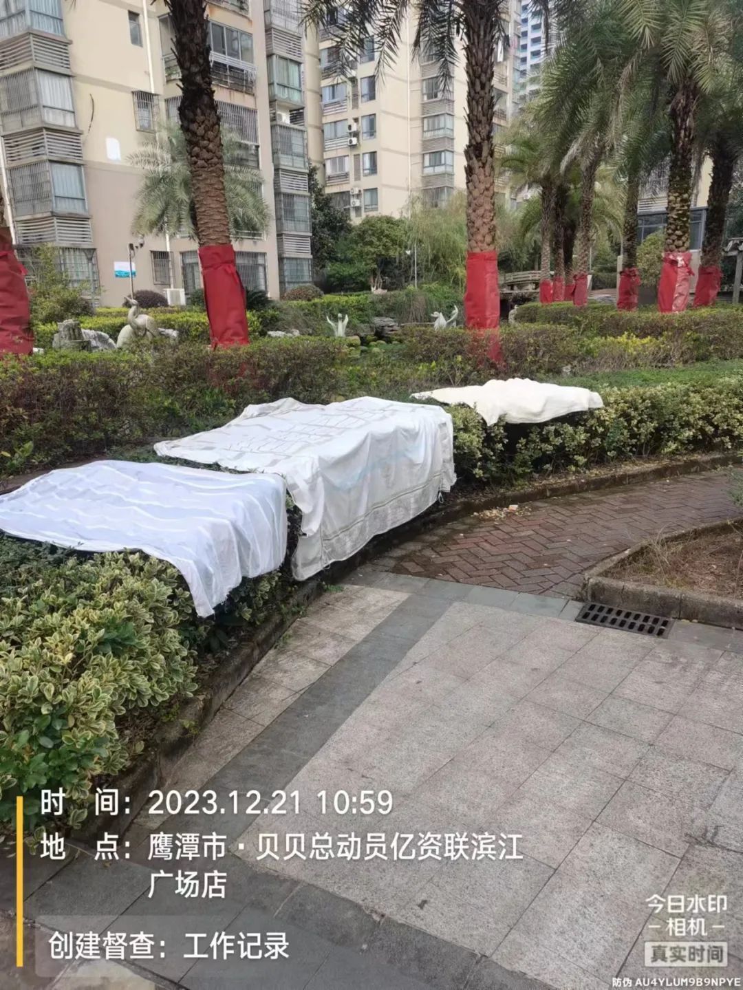 督查曝光！龙虎山景区花语世界灯罩破损 一号停车场杂物乱堆乱放