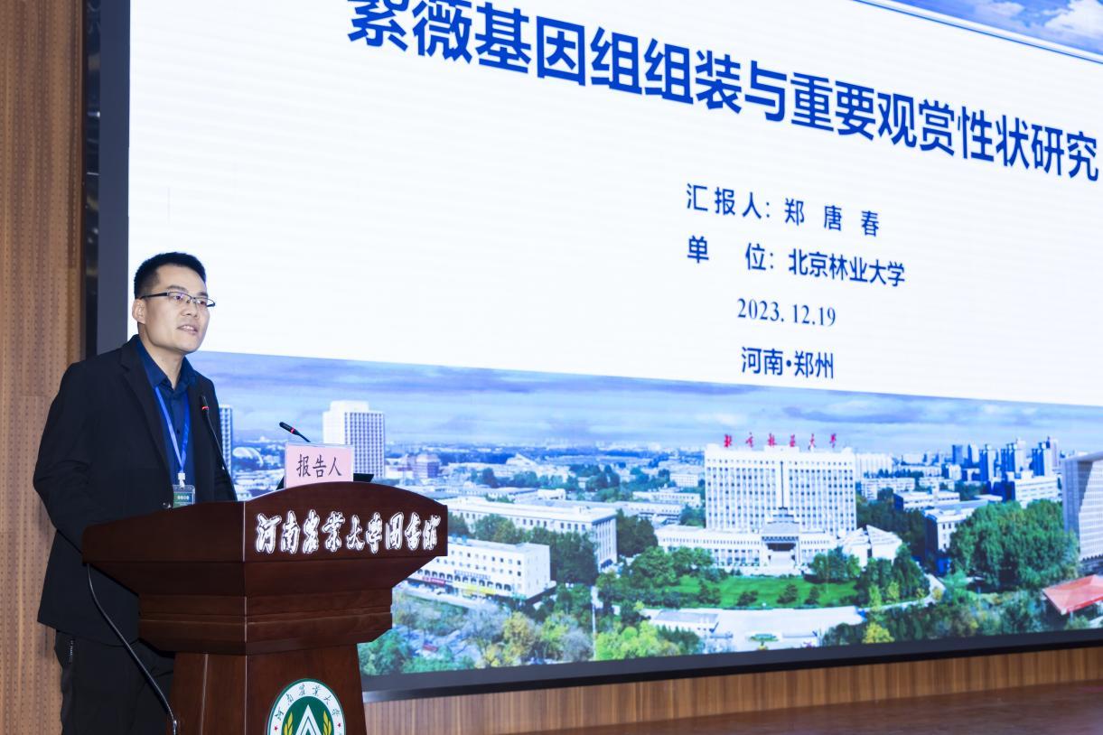 郑唐春作专家报告