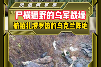 尸横遍野的乌军战壕航拍扎波罗热的乌克兰阵地