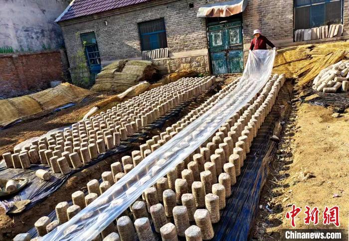 在滕州市的多个乡镇，“经纪人”为闲置庭院引入特色产业。滕州市委宣传部 供图