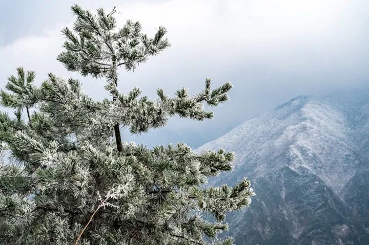 JN江南体育最新官网入口之江轩我们为什么爱初雪(图1)