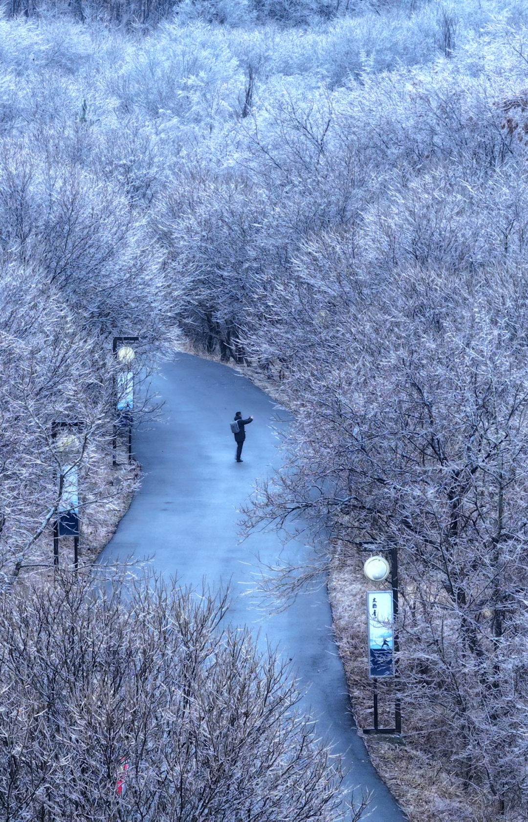 摄影：梅浩/组图来源：日照齐鲁网
